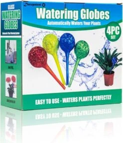 Merkloos Decopatent® 4 Stuks - Waterdruppelaar Voor Planten - Watergever - Glas - Waterbollen - Watergeefsysteem - Plantenbollen - Groen 12 Merkloos Decopatent® 4 Stuks - Waterdruppelaar Voor Planten - Watergever - Glas - Waterbollen - Watergeefsysteem - Plantenbollen - Groen -Best Garden Tools Store 1029x1200 4