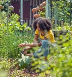 GARDENA - ExpertCut - Snoeischaar - 22 Diameter Tak -Best Garden Tools Store 1116x1200 1