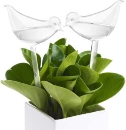 Luxe Planten Waterdruppelaar - Waterbol Vogel - Watergever - Watergeefsysteem Voor Planten & Bloemen - 200ML - Set Van 2 5 Luxe Planten Waterdruppelaar - Waterbol Vogel - Watergever - Watergeefsysteem Voor Planten & Bloemen - 200ML - Set Van 2 -Best Garden Tools Store 1160x1200 2