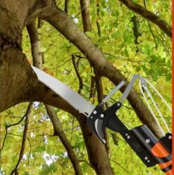 Gardebruk Takkenzaag Telescopisch - 2in1 Zaag & Snoeischaar - Oranje -Best Garden Tools Store 1189x1200 7