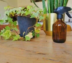24DOTS Living Plantenspuit | 300 Ml Bruin Amber Glas | Plantensproeier | Plantenspuit Binnen | Waterverstuiver | Vernevelaar -Best Garden Tools Store 1200x1051