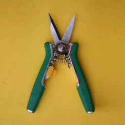 Bloemenschaar- Snoeischaar Recht Green Arrow 6238 -Best Garden Tools Store 1200x1200 1175