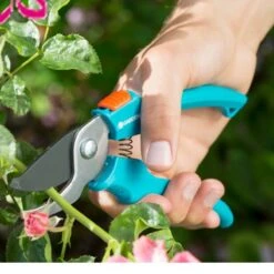 Best Garden Tools Store -Best Garden Tools Store 1200x1200 1179