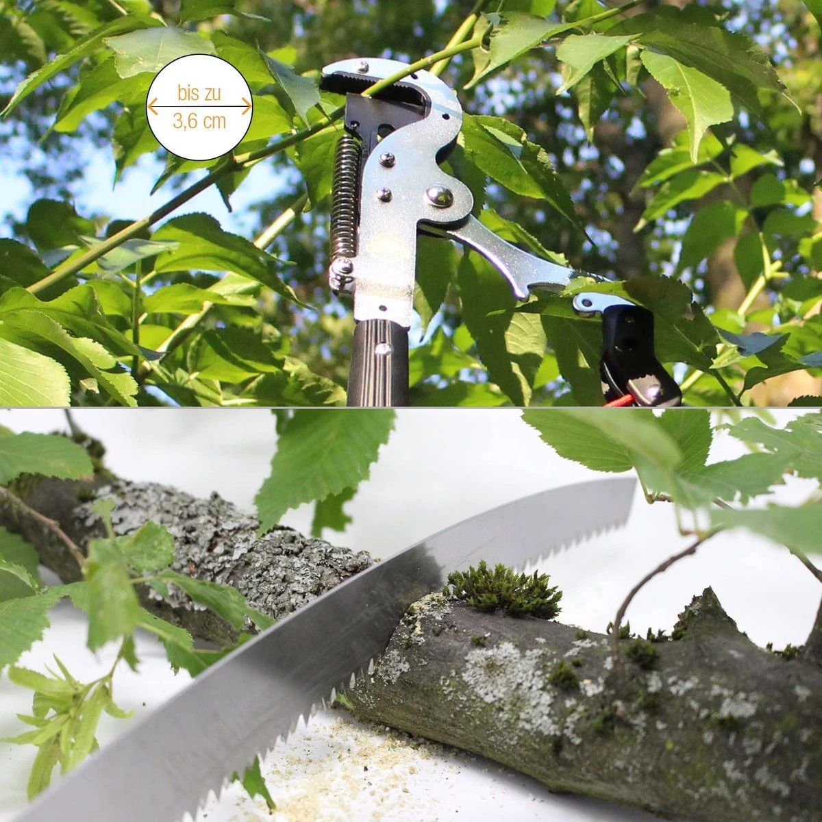 Iceberk Snoeischaar + Snoeizaag (1,45 - 3,70 M) - Telescopische Snoeischaar Voor Het Snoeien Van Bomen En Dichte Struiken Zonder Ladder 5 Iceberk Snoeischaar + Snoeizaag (1,45 - 3,70 M) - Telescopische Snoeischaar Voor Het Snoeien Van Bomen En Dichte Struiken Zonder Ladder - Image 5