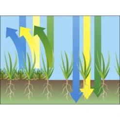 GARDENA EVC 1000 Verticuteermachine - Werkbreedte 30 Cm - Werkgebied 600m2 -Best Garden Tools Store 1200x1200 228