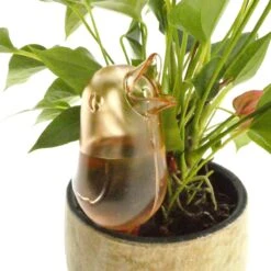 JS Drippy - Waterdruppelaars Set Van 2 Stuks - Druppelaar Vogel - Druppelsysteem Planten - Watergeefsysteem Kamerplanten - Waterbol - Roze -Best Garden Tools Store 1200x1200 536