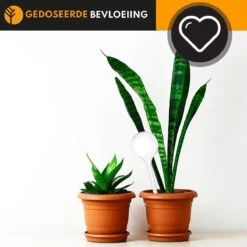 Waterdruppelaar Set Van 6 Stuks Voor Planten Transparant – 27 CM – Automatisch Watergeefsysteem Voor Kamerplanten – Planten Watergever Met Druppelsysteem – Waterbol -Best Garden Tools Store 1200x1200 539