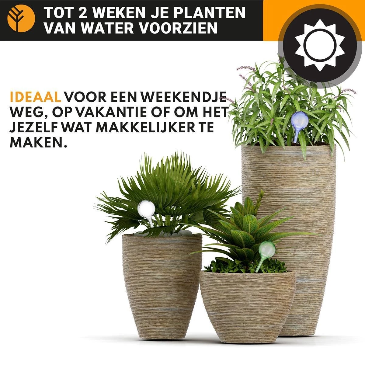 Waterdruppelaar Set Van 6 Stuks Voor Planten – 27 CM – Automatisch Watergeefsysteem Voor Kamerplanten – Planten Watergever Met Druppelsysteem – Waterbol 3 Waterdruppelaar Set Van 6 Stuks Voor Planten – 27 CM – Automatisch Watergeefsysteem Voor Kamerplanten – Planten Watergever Met Druppelsysteem – Waterbol - Image 3