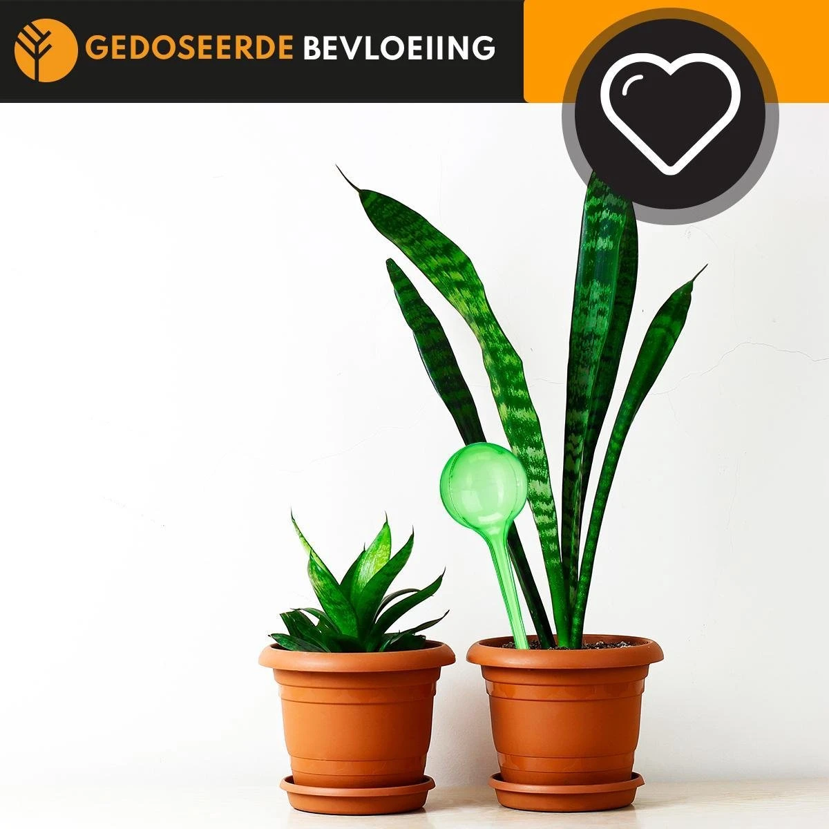 Waterdruppelaar Set Van 6 Stuks Voor Planten – 27 CM – Automatisch Watergeefsysteem Voor Kamerplanten – Planten Watergever Met Druppelsysteem – Waterbol 4 Waterdruppelaar Set Van 6 Stuks Voor Planten – 27 CM – Automatisch Watergeefsysteem Voor Kamerplanten – Planten Watergever Met Druppelsysteem – Waterbol - Image 4