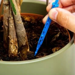 Woonaccessoires- Automatisch Watergeef Systeem | Plantenwaterer - Life Support Irrigatieapparaat | Druppelaar Kamerplanten - | Planten Watergever Met Druppelsysteem 350ml -Best Garden Tools Store 1200x1200 664