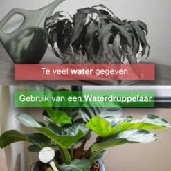 Waterdruppelaar Set Van 12 Stuks - Waterdruppelaar Voor Planten - Watergeefsysteem - Waterbol Irrigatiesysteem - Automatisch Druppelsysteem Voor Kamerplanten & Tuin - Watergever - Transparant - 15cm -Best Garden Tools Store 1200x1200 672