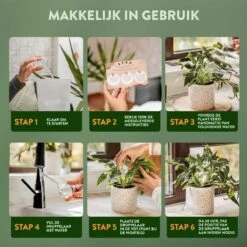 STFF & Co® Waterdruppelaar Voor Planten – Irrigatiesysteem Automatisch Watergeefsysteem – Waterbollen Voor Planten – Bewateringssysteem – 8 Stuks - 5cm -Best Garden Tools Store 1200x1200 711