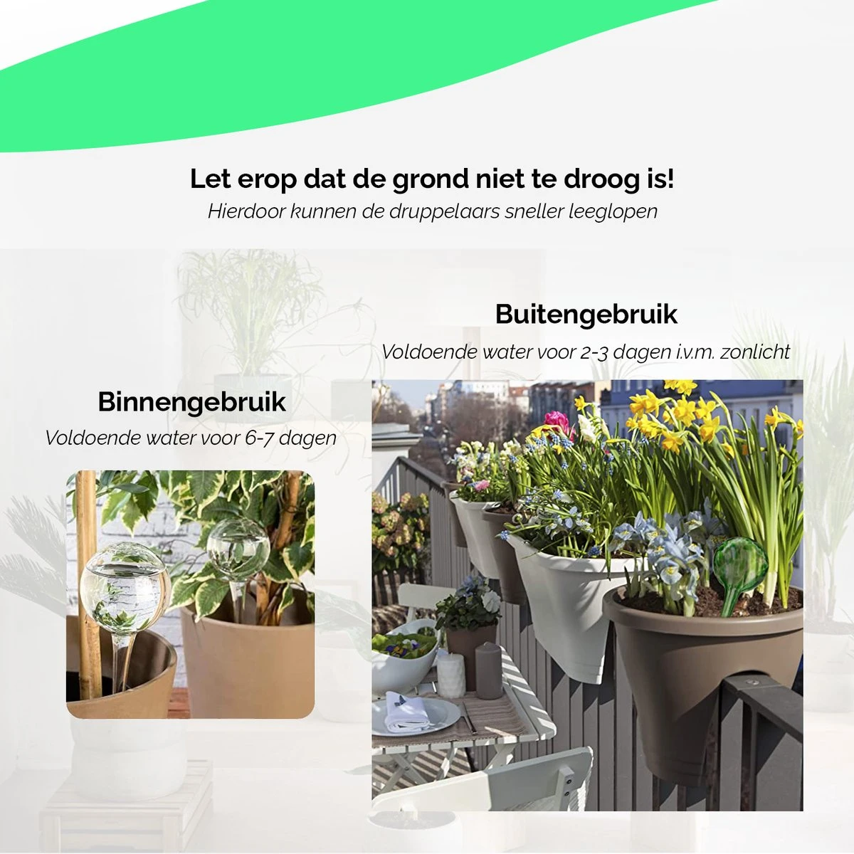 HGMD Waterdruppelaar Set Van 8 Stuks Voor Planten Transparant - Groen - Waterdruppelaar Voor Kamerplanten – Waterbol - Waterdruppelaar Voor Planten - Watergeefsysteem 5 HGMD Waterdruppelaar Set Van 8 Stuks Voor Planten Transparant - Groen - Waterdruppelaar Voor Kamerplanten – Waterbol - Waterdruppelaar Voor Planten - Watergeefsysteem - Image 5