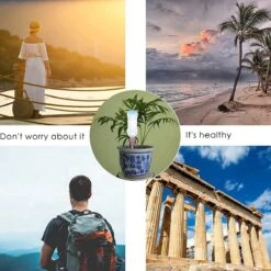 BOTC Waterdruppelaar Set Van 6 Stuks Voor Planten - Watergeefsysteem 16 BOTC Waterdruppelaar Set Van 6 Stuks Voor Planten - Watergeefsysteem -Best Garden Tools Store 1200x1200 732