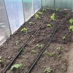 Druppelslang Actiepakket 100 Meter - Leidingshop -Best Garden Tools Store 1200x1200 734