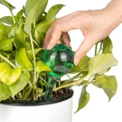 Merkloos Decopatent® 4 Stuks - Waterdruppelaar Voor Planten - Watergever - Glas - Waterbollen - Watergeefsysteem - Plantenbollen - Groen 19 Merkloos Decopatent® 4 Stuks - Waterdruppelaar Voor Planten - Watergever - Glas - Waterbollen - Watergeefsysteem - Plantenbollen - Groen -Best Garden Tools Store 1200x1200 740