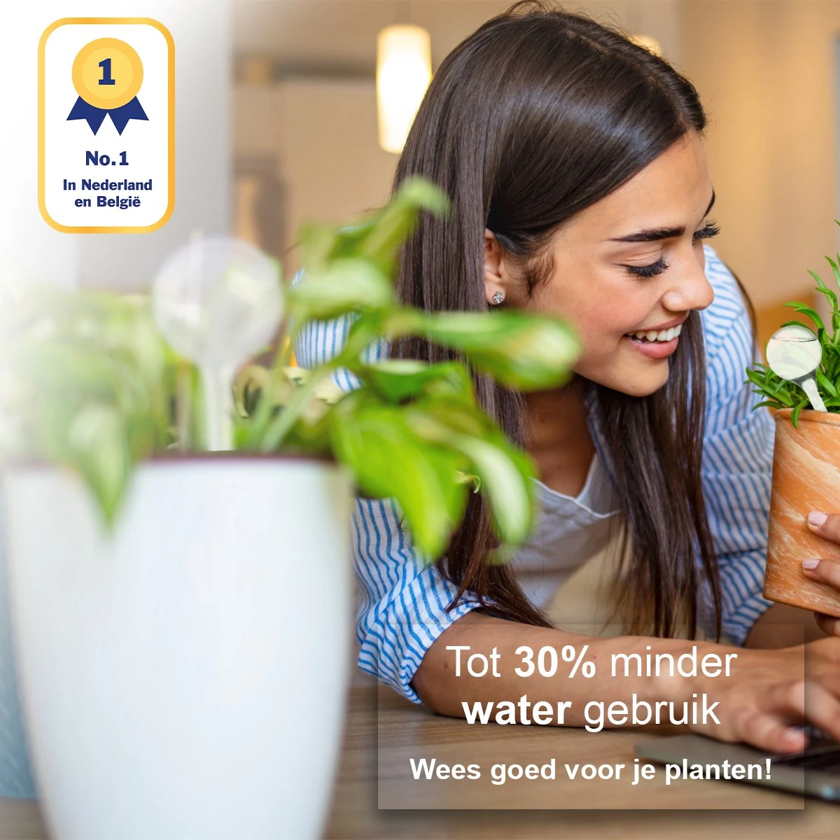 Waterdruppelaar Set Van 6 Stuks - Waterdruppelaar Voor Planten - Watergeefsysteem - Waterbol Irrigatiesysteem - Automatisch Druppelsysteem Voor Kamerplanten & Tuin - Watergever - Doorzichtig - 15cm 2 Waterdruppelaar Set Van 6 Stuks - Waterdruppelaar Voor Planten - Watergeefsysteem - Waterbol Irrigatiesysteem - Automatisch Druppelsysteem Voor Kamerplanten & Tuin - Watergever - Doorzichtig - 15cm - Image 2