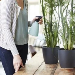 Elho Brussels Sprayer 12 - Plantenspuit Voor Binnen - Ø 11.3 X H 22.3 Cm - Groen/Mint -Best Garden Tools Store 1200x1200 832