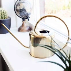 Kikkerland Vintage Gieter - Plantengieter Voor Binnen - Goud - 1,2L - Retro - Metaal 8 Kikkerland Vintage Gieter - Plantengieter Voor Binnen - Goud - 1,2L - Retro - Metaal -Best Garden Tools Store 1200x1200 975