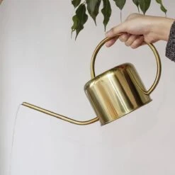 Kikkerland Vintage Gieter - Plantengieter Voor Binnen - Goud - 1,2L - Retro - Metaal 9 Kikkerland Vintage Gieter - Plantengieter Voor Binnen - Goud - 1,2L - Retro - Metaal -Best Garden Tools Store 1200x1200 976