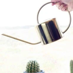 Kikkerland Vintage Gieter - Plantengieter Voor Binnen - Goud - 1,2L - Retro - Metaal 10 Kikkerland Vintage Gieter - Plantengieter Voor Binnen - Goud - 1,2L - Retro - Metaal -Best Garden Tools Store 1200x1200 977