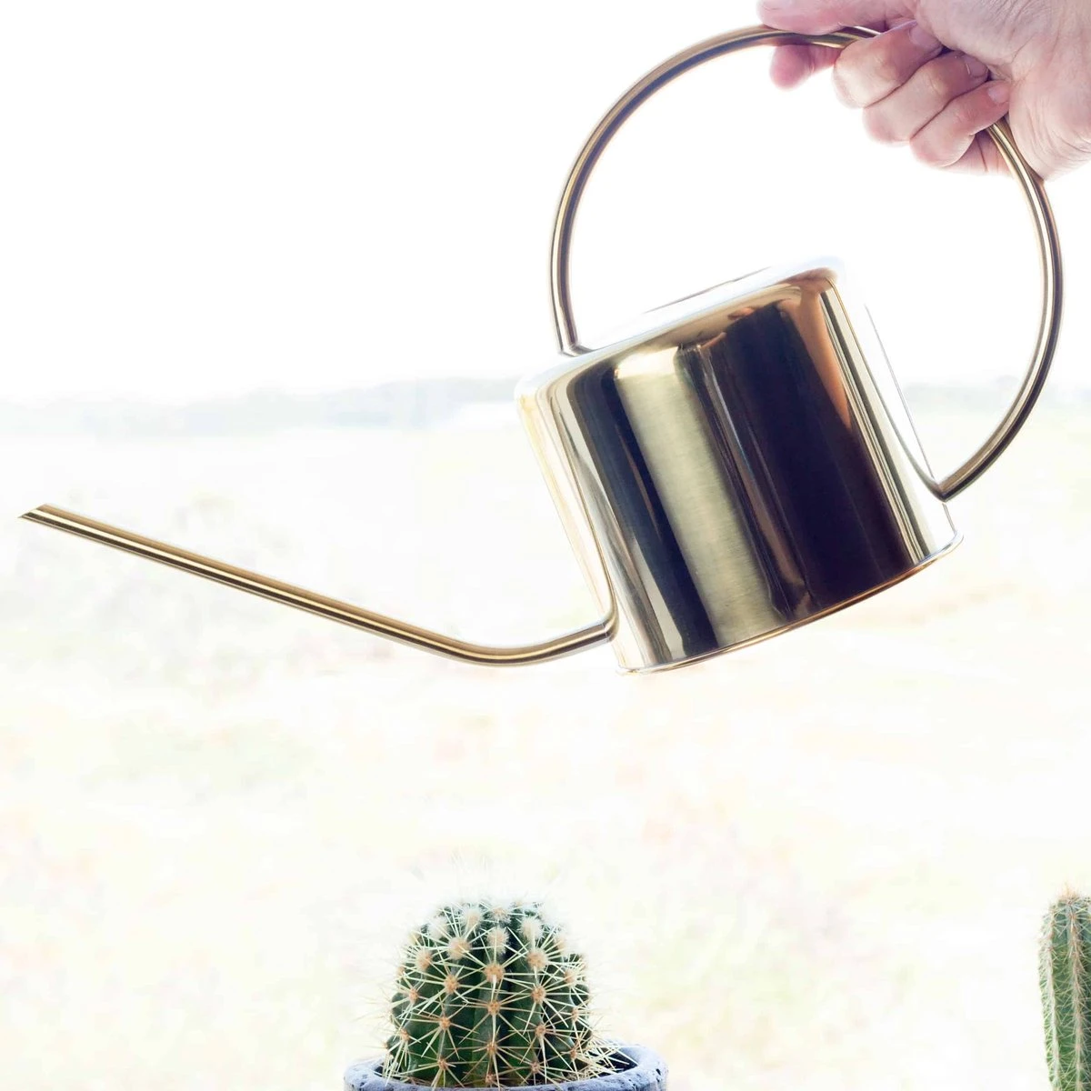 Kikkerland Vintage Gieter - Plantengieter Voor Binnen - Goud - 1,2L - Retro - Metaal 5 Kikkerland Vintage Gieter - Plantengieter Voor Binnen - Goud - 1,2L - Retro - Metaal - Image 5