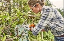 Stihl Accu Mini Kettingzaag SET - Snoeischaar - Snoeizaag - Hand Kettingzaag - Professioneel- Hovenier- Tuinman -Best Garden Tools Store 1200x779 1