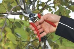 Felco 2 Snoeischaar - Rechtshandig - Max. Knipdiameter 25 Mm - Lengte 215 Mm -Best Garden Tools Store 1200x796 8