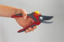 Best Garden Tools Store -Best Garden Tools Store 1200x797 7