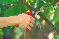 WOLF-Garten Snoeischaar "Premium Plus" RS 4000 - Aambeeld - Max. Knipdiameter 25 Mm - Links- En Rechtshandige - Softinleg Handgreep - Snijhoek 30° - Voor Grote Handen - Vervangbare Messen En Aambeeld -Best Garden Tools Store 1200x798 18