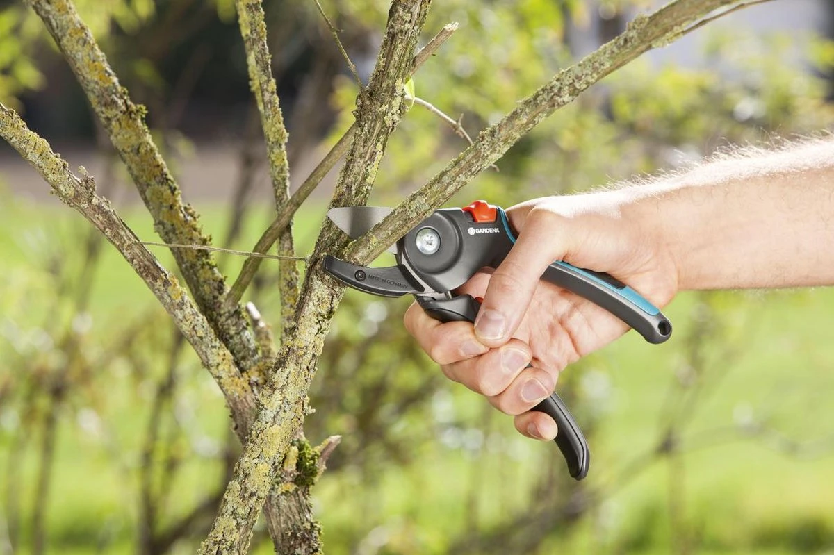 GARDENA - Comfort A/M Aambeeld - Snoeischaar - Ø 23mm 2 GARDENA - Comfort A/M Aambeeld - Snoeischaar - Ø 23mm - Image 2