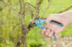 GARDENA Classic Aambeeld Snoeischaar - Ø 18 Mm -Best Garden Tools Store 1200x799 205