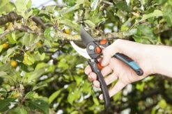 GARDENA - Comfort B/S-XL Bypass - Snoeischaar - Ø 24 Mm - 25 Jaar Garantie -Best Garden Tools Store 1200x799 211