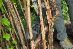 GARDENA - SlimCut Takkenschaar -28mm- Met Hefboommechanisme -Best Garden Tools Store 1200x799 217