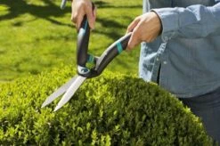GARDENA PrecisionCut Buxusschaar - Meslengte 18 Cm - Vormsnoeien -Best Garden Tools Store 1200x799 8