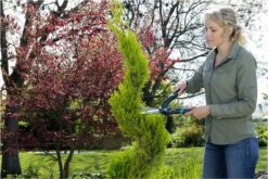 GARDENA PrecisionCut Buxusschaar - Meslengte 18 Cm - Vormsnoeien -Best Garden Tools Store 1200x800 10