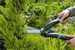 GARDENA PrecisionCut Buxusschaar - Meslengte 18 Cm - Vormsnoeien -Best Garden Tools Store 1200x800 11