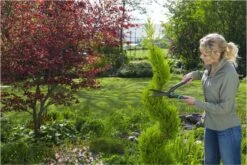 GARDENA PrecisionCut Buxusschaar - Meslengte 18 Cm - Vormsnoeien -Best Garden Tools Store 1200x800 13