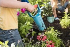 GARDENA Bollenplanter - Diepteaanduiding - Automatische Aardeloslating -Best Garden Tools Store 1200x800 152