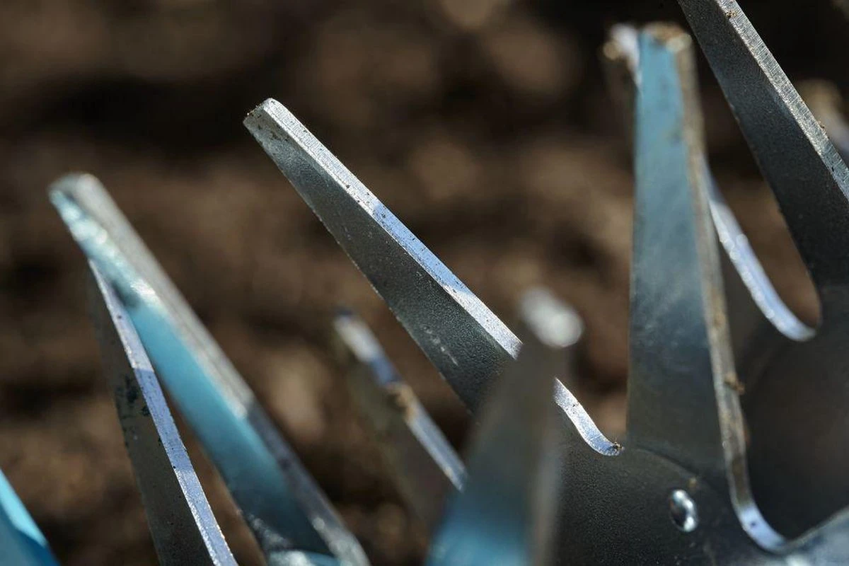 GARDENA Combisystem Tuinfrees - Sterfrees 4 GARDENA Combisystem Tuinfrees - Sterfrees - Image 4