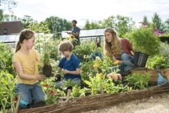 GARDENA Combisystem Bladharkje - Werkbreedte 12 Cm - 25 Jaar Garantie -Best Garden Tools Store 1200x800 158