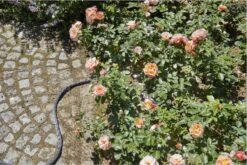 GARDENA Kraanverbindingsstuk Binnenshuis -Best Garden Tools Store 1200x800 244