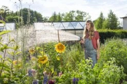 GARDENA - Comfort Broeskop - 5 Straalsoorten - Grijs -Best Garden Tools Store 1200x800 256