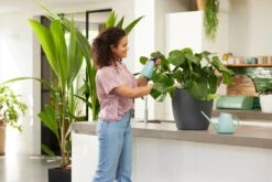 Elho Brussels Gieter 1,8l - Gieter Voor Binnenkweken En Oogsten - Ø 33.0 X H 17.0 Cm - Groen/Mint -Best Garden Tools Store 1200x800 283