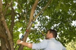 Gardena TeleCut Takkenschaar 650-900 B - Uitschuifbare Armen - Tot Max 90 Cm -Best Garden Tools Store 1200x800 369