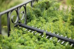 Bosch UniversalHedgeCut 18-55 Heggenschaar - Zonder 18V Accu En Oplader -Best Garden Tools Store 1200x800 374