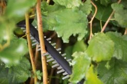 Bosch UniversalHedgeCut 18-55 Heggenschaar - Zonder 18V Accu En Oplader -Best Garden Tools Store 1200x800 377