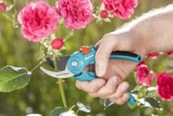 GARDENA - Classic B/S-M Bypass Snoeischaar - Ø 22mm - 25 Jaar Garantie -Best Garden Tools Store 1200x800 384