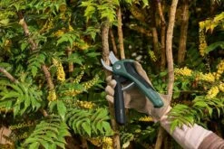 Bosch EasyPrune Accu Snoeischaar - 3.6 V Accu - USB -Best Garden Tools Store 1200x800 407