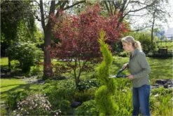 GARDENA PrecisionCut Buxusschaar - Meslengte 18 Cm - Vormsnoeien -Best Garden Tools Store 1200x800 9